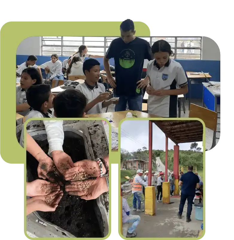 Imagen de sostenibilidad