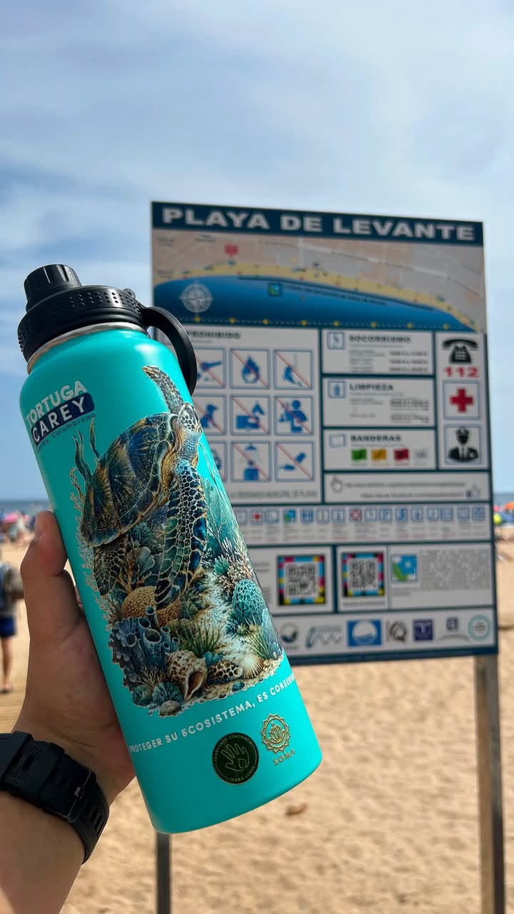 Termo ecológico Tortuga Carey – Mano Verde