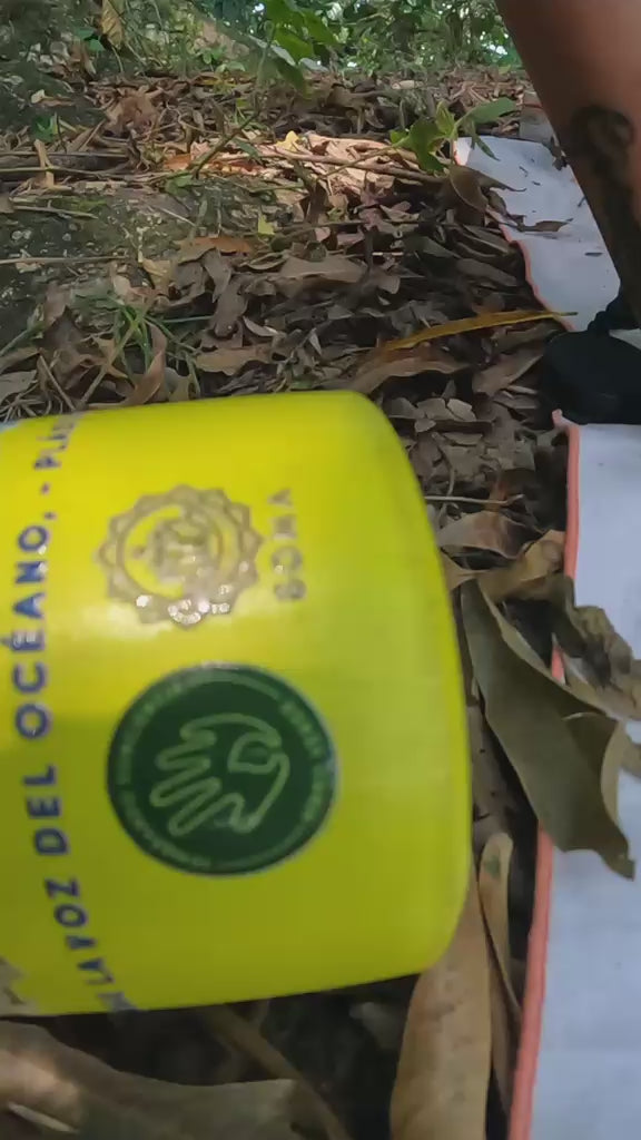 Termo ecológico Ballena Jorobada – Mano Verde
